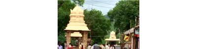 49. திருநிலாத்திங்கள் துண்டம் (ஏகாம்பரநாதர் கோயில்)